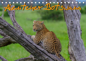 Abenteuer Botswana Afrika – Adventure Botswana (Tischkalender 2023 DIN A5 quer) von Struckmann,  Frank