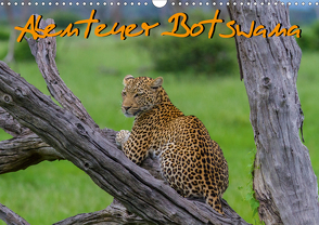 Abenteuer Botswana Afrika – Adventure Botswana (Wandkalender 2021 DIN A3 quer) von Struckmann,  Frank