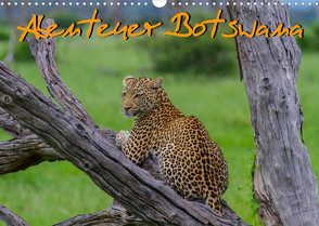 Abenteuer Botswana Afrika – Adventure Botswana (Wandkalender 2022 DIN A3 quer) von Struckmann,  Frank