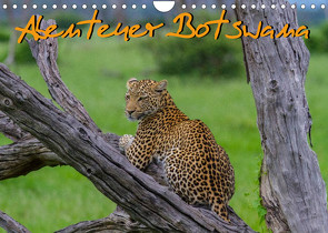 Abenteuer Botswana Afrika – Adventure Botswana (Wandkalender 2023 DIN A4 quer) von Struckmann,  Frank