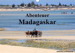 Abenteuer Madagaskar (Wandkalender 2023 DIN A3 quer) von weltreise-unlimited.de