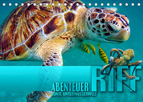 Abenteuer Riff – bunte Unterwasserwelt (Tischkalender 2023 DIN A5 quer) von Utz,  Renate