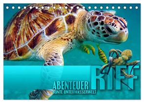 Abenteuer Riff – bunte Unterwasserwelt (Tischkalender 2024 DIN A5 quer), CALVENDO Monatskalender von Utz,  Renate