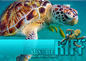 Abenteuer Riff – bunte Unterwasserwelt (Wandkalender 2023 DIN A2 quer) von Utz,  Renate