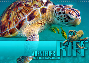 Abenteuer Riff – bunte Unterwasserwelt (Wandkalender 2023 DIN A3 quer) von Utz,  Renate