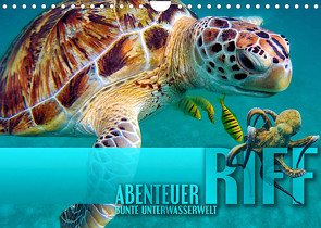 Abenteuer Riff – bunte Unterwasserwelt (Wandkalender 2023 DIN A4 quer) von Utz,  Renate