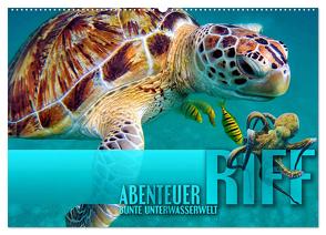 Abenteuer Riff – bunte Unterwasserwelt (Wandkalender 2024 DIN A2 quer), CALVENDO Monatskalender von Utz,  Renate