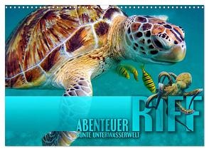 Abenteuer Riff – bunte Unterwasserwelt (Wandkalender 2024 DIN A3 quer), CALVENDO Monatskalender von Utz,  Renate