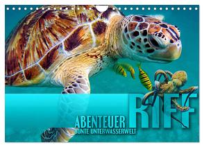 Abenteuer Riff – bunte Unterwasserwelt (Wandkalender 2024 DIN A4 quer), CALVENDO Monatskalender von Utz,  Renate