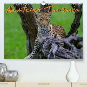 Abenteuer Tansania, Afrika (Premium, hochwertiger DIN A2 Wandkalender 2023, Kunstdruck in Hochglanz) von Struckmann,  Frank