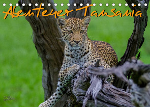 Abenteuer Tansania, Afrika (Tischkalender 2022 DIN A5 quer) von Struckmann,  Frank