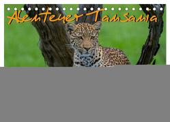 Abenteuer Tansania, Afrika (Tischkalender 2024 DIN A5 quer), CALVENDO Monatskalender von Struckmann,  Frank