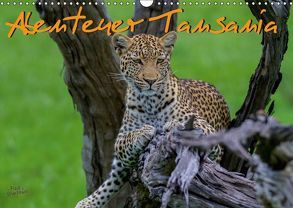 Abenteuer Tansania, Afrika (Wandkalender 2019 DIN A3 quer) von Struckmann,  Frank