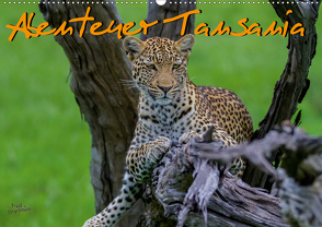 Abenteuer Tansania, Afrika (Wandkalender 2021 DIN A2 quer) von Struckmann,  Frank