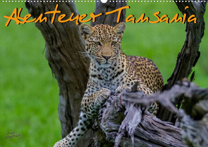 Abenteuer Tansania, Afrika (Wandkalender 2023 DIN A2 quer) von Struckmann,  Frank