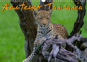 Abenteuer Tansania, Afrika (Wandkalender 2023 DIN A3 quer) von Struckmann,  Frank