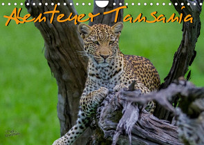 Abenteuer Tansania, Afrika (Wandkalender 2023 DIN A4 quer) von Struckmann,  Frank