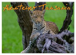 Abenteuer Tansania, Afrika (Wandkalender 2024 DIN A2 quer), CALVENDO Monatskalender von Struckmann,  Frank