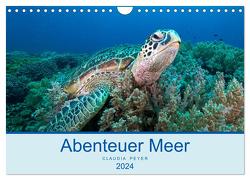 Abenteuer Unterwasser (Wandkalender 2024 DIN A4 quer), CALVENDO Monatskalender von Peyer,  Claudia