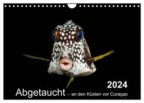 Abgetaucht – an den Küsten vor Curaçao (Wandkalender 2024 DIN A4 quer), CALVENDO Monatskalender von - Yvonne & Tilo Kühnast,  naturepics