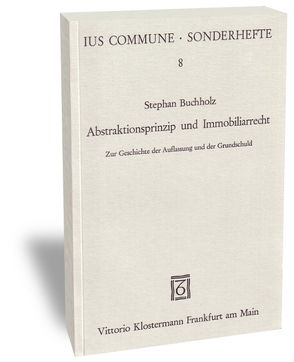 Abstraktionsprinzip und Immobilarrecht von Buchholz,  Stephan