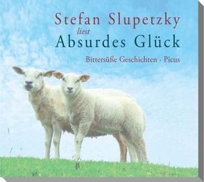 Absurdes Glück von Slupetzky,  Stefan