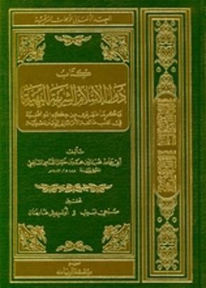 Abu Hamid al-Qudsis Traktat über die Segnungen, die die Türken dem Lande Ägypten gebracht haben von Haarmann,  Ulrich, Labib,  Subhi, Qudsi,  Abu Hamid al-, Schönig,  Hanne