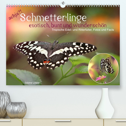 achja?! Schmetterlinge, exotisch, bunt und wunderschön (Premium, hochwertiger DIN A2 Wandkalender 2023, Kunstdruck in Hochglanz) von Löwer,  Sabine