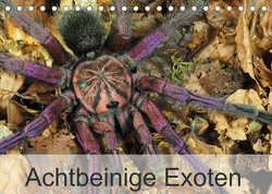 Achtbeinige Exoten (Tischkalender 2023 DIN A5 quer) von Kairat - dewolli.de,  Wolfgang