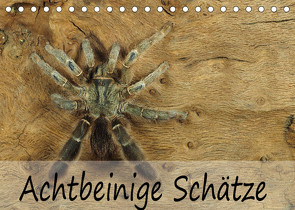 Achtbeinige Schätze (Tischkalender 2023 DIN A5 quer) von Kairat - dewolli.de,  Wolfgang