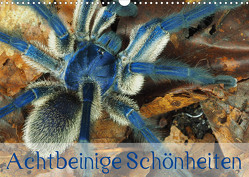 Achtbeinige Schönheiten (Wandkalender 2023 DIN A3 quer) von Kairat - dewolli.de,  Wolfgang