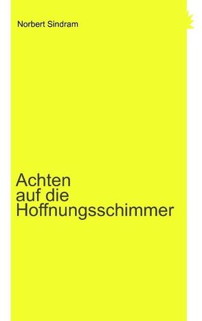 Achten auf die Hoffnungsschimmer von Sindram,  Norbert