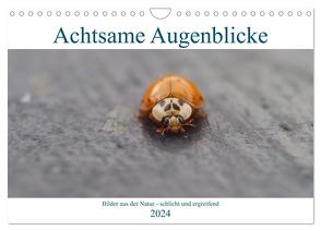 Achtsame Augenblicke (Wandkalender 2024 DIN A4 quer), CALVENDO Monatskalender von FotoART,  JoBe