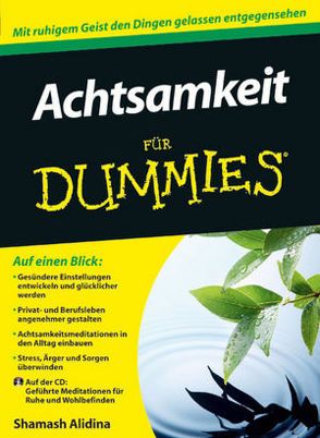 Achtsamkeit für Dummies von Alidina,  Shamash, Strahl,  Hartmut