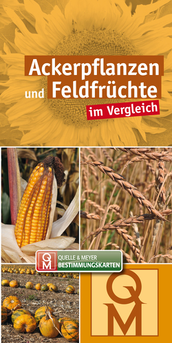 Ackerpflanzen und Feldfrüchte im Vergleich von Quelle & Meyer Verlag