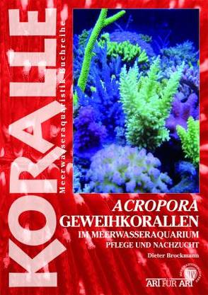 Acropora – Geweihkorallen im Meerwasseraquarium von Brockmann,  Dieter