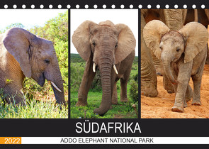 ADDO ELEPHANT NATIONAL PARK SÜDAFRIKA (Tischkalender 2022 DIN A5 quer) von Fraatz,  Barbara