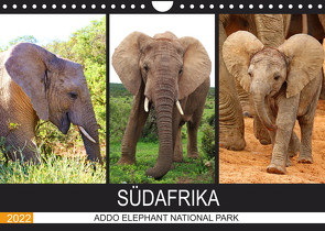 ADDO ELEPHANT NATIONAL PARK SÜDAFRIKA (Wandkalender 2022 DIN A4 quer) von Fraatz,  Barbara