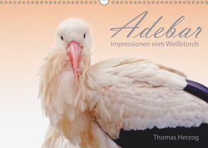 ADEBAR (Wandkalender 2019 DIN A3 quer) von Herzog,  Thomas, www.bild-erzaehler.com