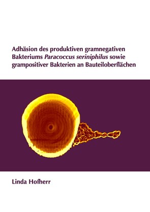 Adhäsion des produktiven gramnegativen Bakteriums Paracoccus seriniphilus sowie grampositiver Bakterien an Bauteiloberflächen von Hofherr,  Linda