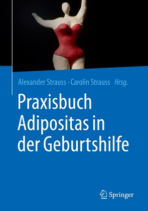 Praxisbuch Adipositas in der Geburtshilfe von Strauss,  Alexander, Strauss,  Carolin