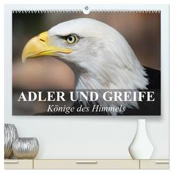 Adler und Greife – Könige des Himmels (hochwertiger Premium Wandkalender 2024 DIN A2 quer), Kunstdruck in Hochglanz von Stanzer,  Elisabeth