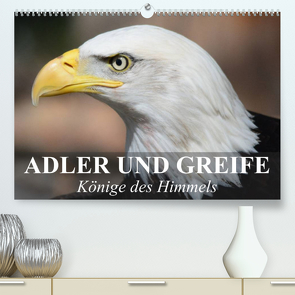 Adler und Greife – Könige des Himmels (Premium, hochwertiger DIN A2 Wandkalender 2023, Kunstdruck in Hochglanz) von Stanzer,  Elisabeth