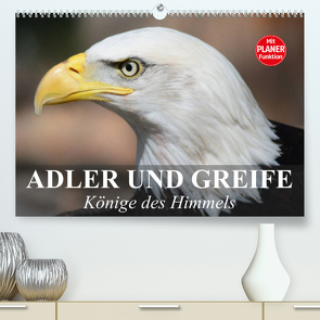 Adler und Greife. Könige des Himmels (Premium, hochwertiger DIN A2 Wandkalender 2023, Kunstdruck in Hochglanz) von Stanzer,  Elisabeth