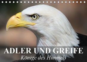 Adler und Greife – Könige des Himmels (Tischkalender 2019 DIN A5 quer) von Stanzer,  Elisabeth