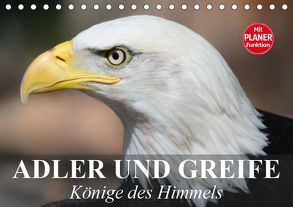 Adler und Greife. Könige des Himmels (Tischkalender 2019 DIN A5 quer) von Stanzer,  Elisabeth
