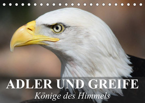 Adler und Greife – Könige des Himmels (Tischkalender 2023 DIN A5 quer) von Stanzer,  Elisabeth