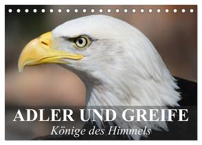Adler und Greife – Könige des Himmels (Tischkalender 2024 DIN A5 quer), CALVENDO Monatskalender von Stanzer,  Elisabeth