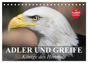 Adler und Greife. Könige des Himmels (Tischkalender 2024 DIN A5 quer), CALVENDO Monatskalender von Stanzer,  Elisabeth