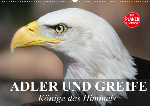 Adler und Greife. Könige des Himmels (Wandkalender 2022 DIN A2 quer) von Stanzer,  Elisabeth